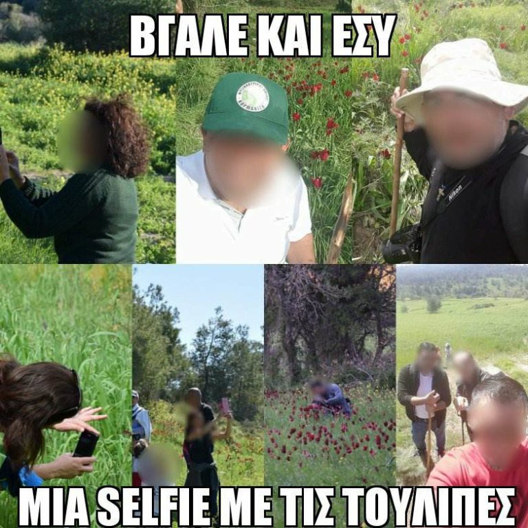 ΒΓΑΛΕ ΚΑΙ ΕΣΥ ΜΙΑ SELFIE ΜΕ ΤΙΣ ΤΟΥΛΙΠΕΣ