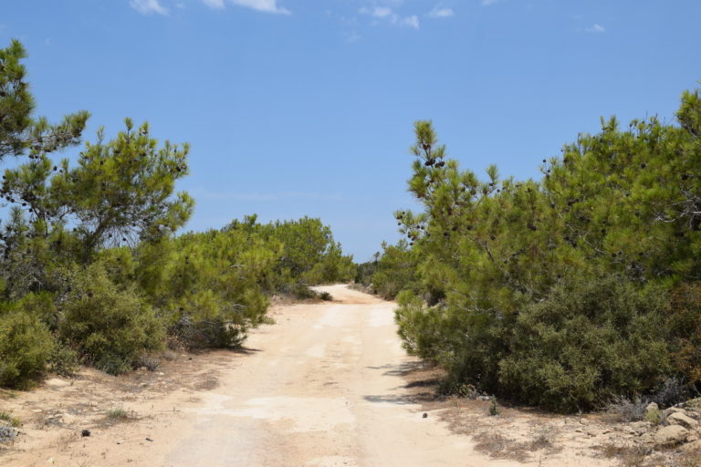 Αγροτικοί δρόμοι Κορμακίτη – Ξεκινά η επιδιόρθωση τους