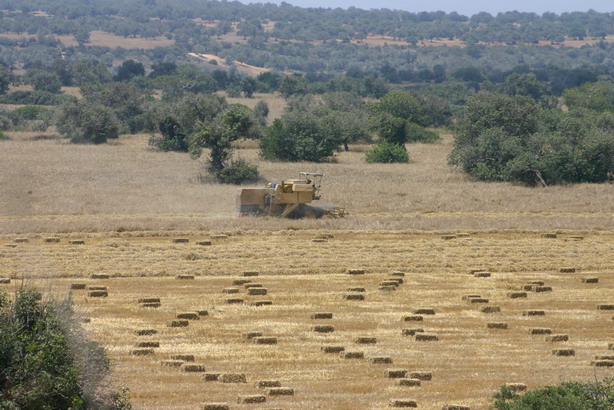 Ίδρυση Γεωργοκτηνοτροφικού Συλλόγου