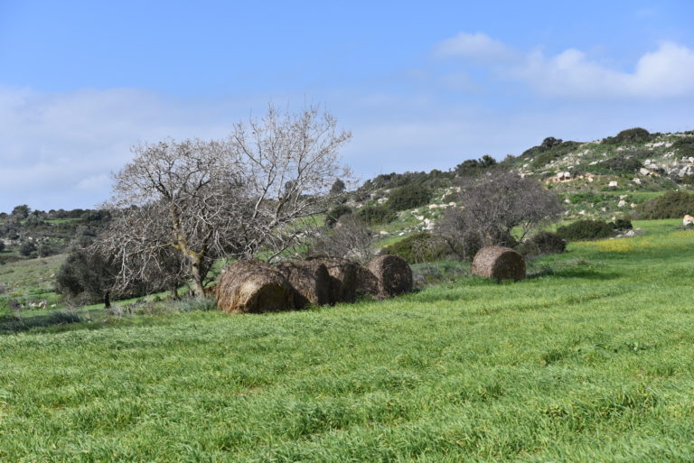 Kormatjitis 608 / 15.02.2020/ -76 Η περιοχή Τζιήπους προς την περιοχή Τρίμιθος και Κούκος