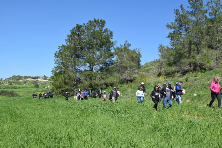 Kormatjitis 630 / 17.03.2019/ -98