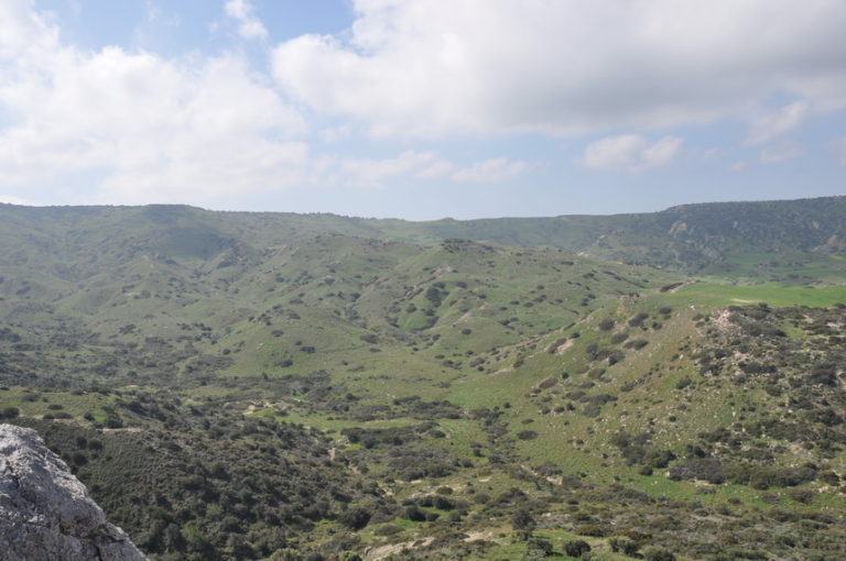 Kormatjitis 633 / 26.03.2017/ -101