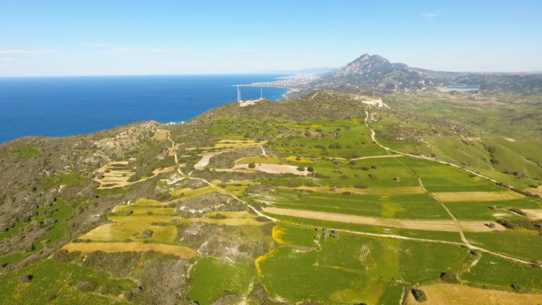 Kormatjitis 663/ 22.04.2019/ -131