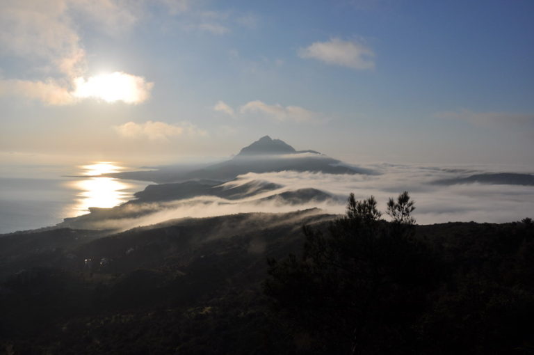 Kormatjitis 660/ 16.04.2017/ -128