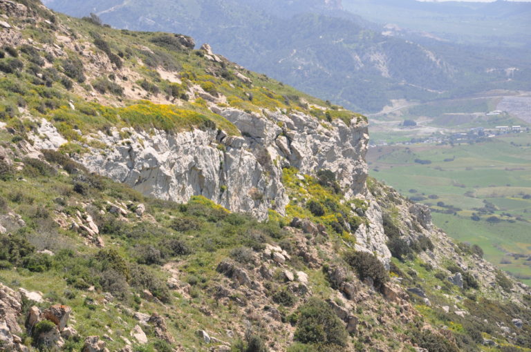 Kormatjitis 661/ 19.04.2015/ -129