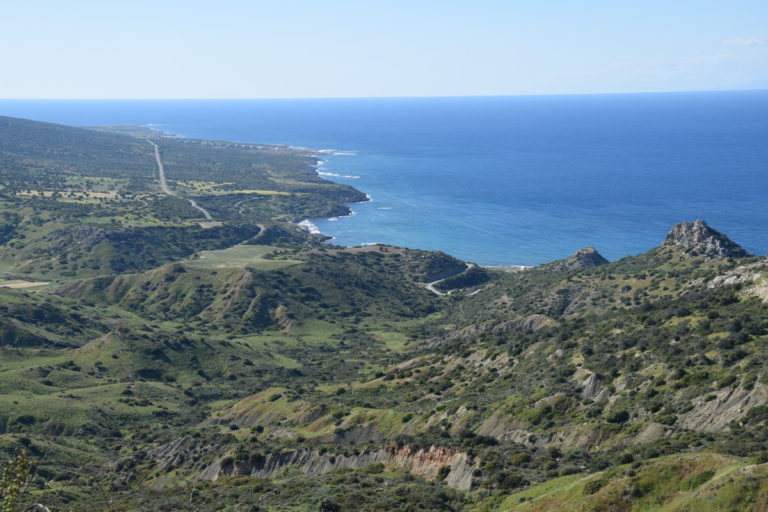 Kormatjitis 662/ 21.04.2019/ -130