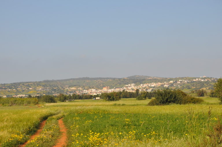 Kormatjitis 659/ 15.04.2017/ -127