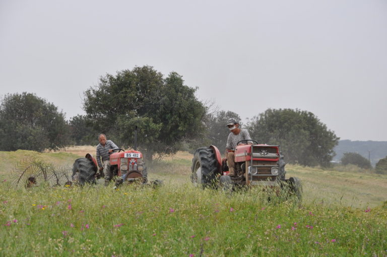 Kormatjitis 667/ 30.04.2017 / -135