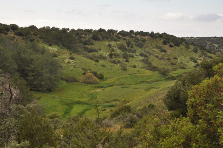 Kormatjitis 658/ 17.04.2017/ -126