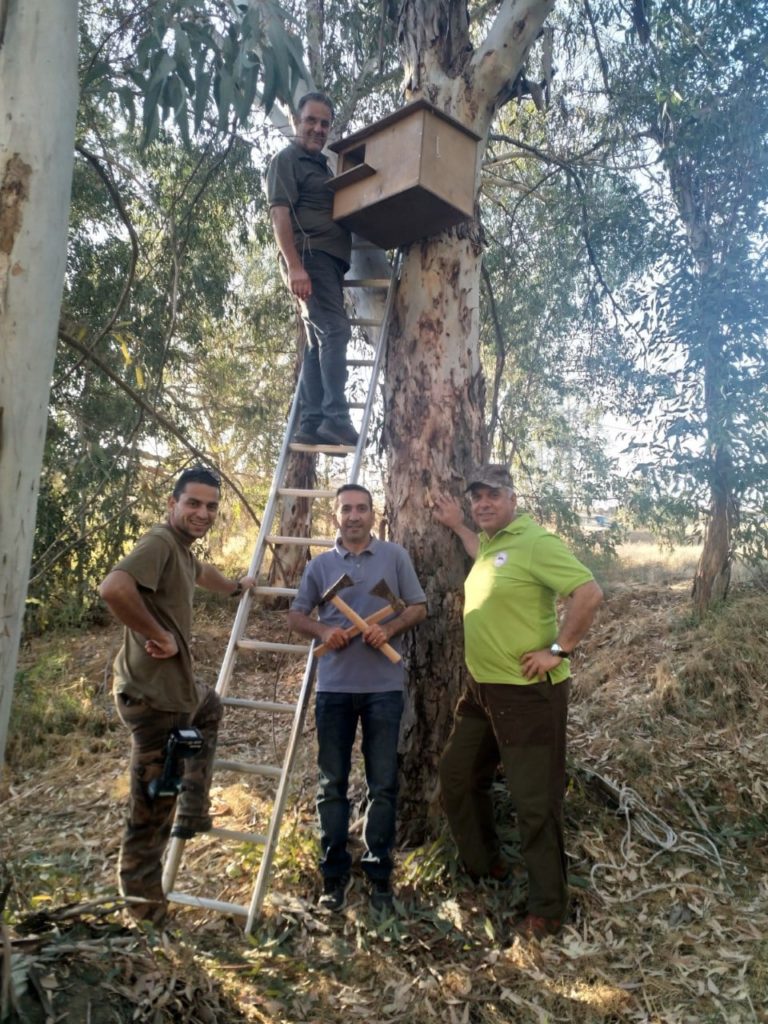 Τεχνητές φωλιές για το « Ανθρωποπούλι»