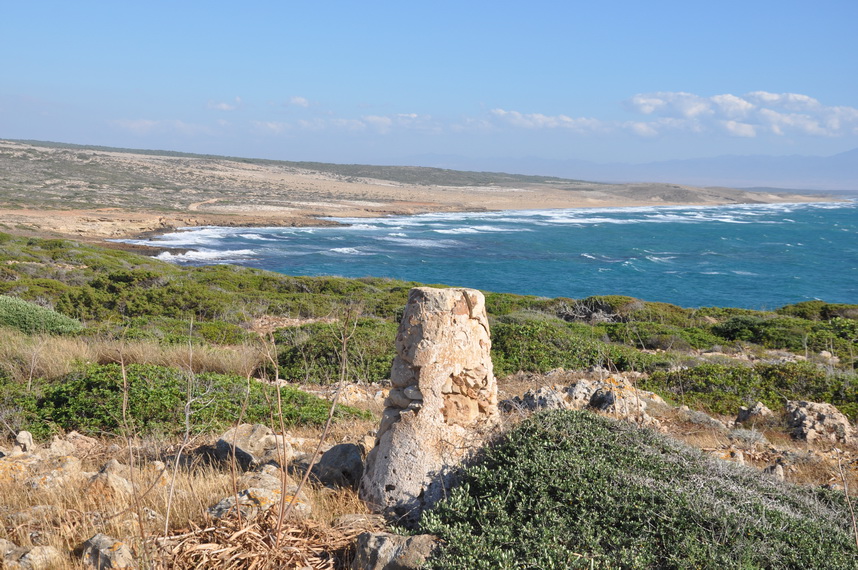 687-kormakitis 21.5.2017_0668-16