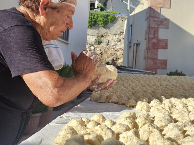 Kormatjitis 2579
